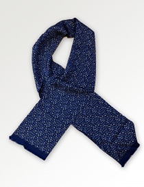 Pañuelo de corbata Paisley pequeño azul marino
