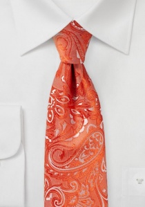 Corbata digna con estampado de cachemira de color