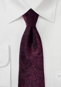 Corbata de negocios elegante estampado paisley