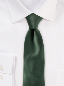 Corbata de Seda Brillo de Moda Verde Botella