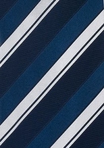 Corbata azul y plata