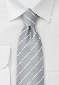 Corbata adecuada para la oficina en plata