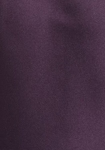 Corbata lisa púrpura