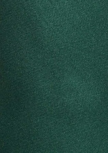 Corbata lisa Limoges verde pino