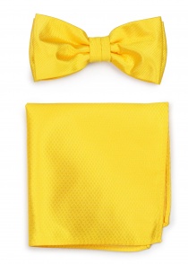 Pajarita de caballero con pañuelo amarillo