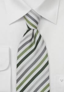 Corbata para niño en plata/verde/gris
