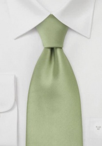 Corbata lisa verde claro