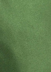 Corbata lisa Limoges verde musgo