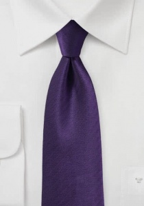 Corbata dibujo de espiga púrpura