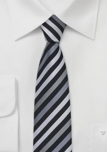 Corbata estrecha en negro y antracita