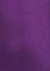 Pajarita de caballero fibra sintética púrpura