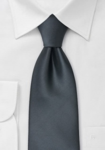 Corbata antracita