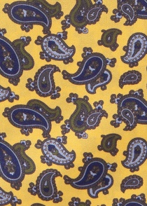 Pañuelo de corbata Diseño Paisley Refinado
