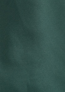 Corbata lisa verde pino
