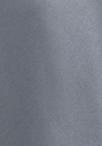 Corbata clip gris plateado lisa