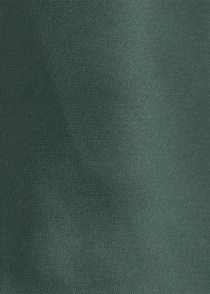 Corbata lisa verde oscuro