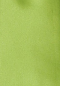 Corbata lisa verde claro satén