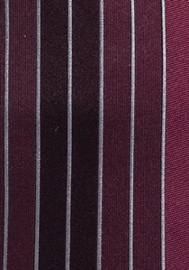 Corbata púrpura rayado vertical