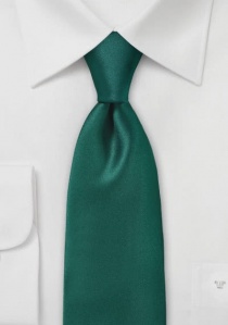 Corbata verde esmeralda brillo