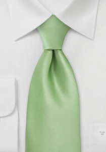 Corbata verde pastel lisa niño
