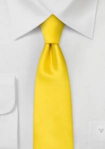 Corbata Limoges amarillo estrecha