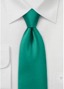 Corbata verde esmeralda brillo lisa