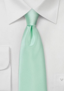 Modische Krawatte in mint