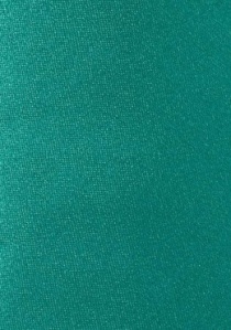 Corbata verde esmeralda brillo lisa