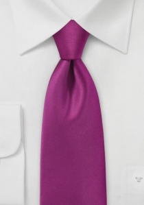 Corbata de negocios monocolor microfibra violeta