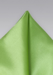 Pañuelo de bolsillo seda italiana unicolor verde