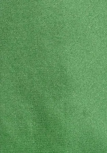Corbata de clip verde bosque  lisa