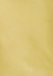 Corbata unicolor oro pálido