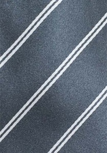 Corbata de caballero a rayas clásicas gris oscuro