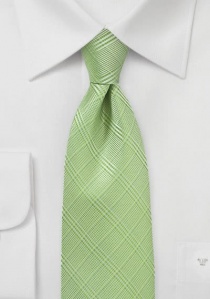 Elegante línea de corbata a cuadros verde pálido
