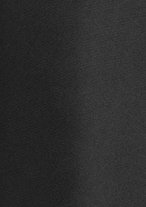 Limoges XXL Krawatte in schwarz