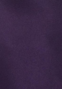 Clip corbata de seda púrpura