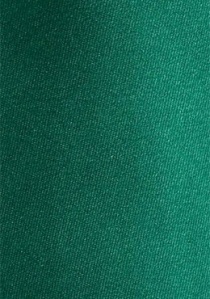 Corbata unicolor verde