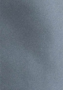 Corbata de negocios monocolor gris