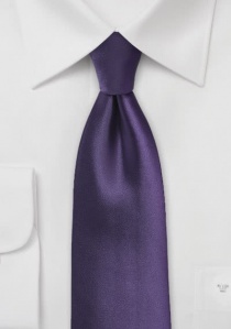 Corbata monocromática púrpura
