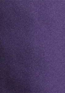 Corbata monocromática púrpura