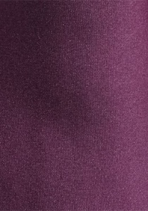 Corbata de caballero unicolor púrpura