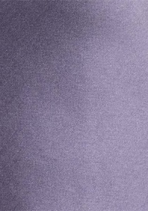 Corbata de caballero unicolor violeta