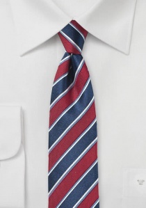 Moderna corbata líneas rojo azul marino