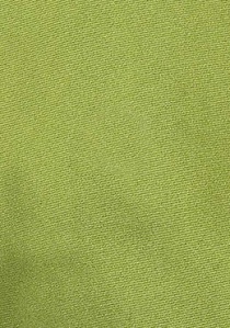 Corbata lisa verde claro seda