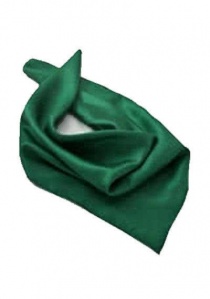 Pañuelo seda verde oscuro